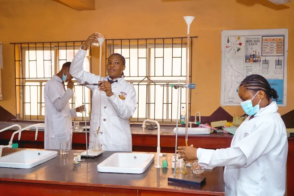 Practical work at a laboratory bench